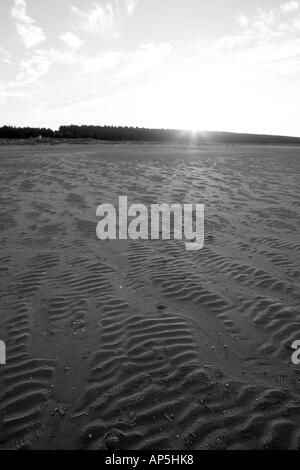 Régime des vagues dans le sable, Holkham Beach, North Norfolk Coast UK, Monochrome Banque D'Images