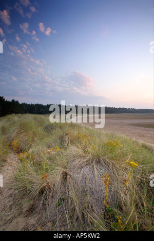 Coucher de Holkham Beach North Norfolk Coast UK Banque D'Images