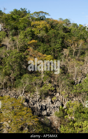 Le massif de l'Ankarana, les Tsingy et la forêt de feuillus, l'Ankarana Réserve spéciale, Madagascar Banque D'Images