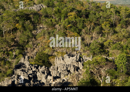 Le massif de l'Ankarana, les Tsingy et la forêt de feuillus, l'Ankarana Réserve spéciale, Madagascar Banque D'Images