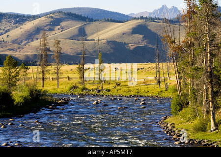 Rivière Salmon près de Stanley Idaho Banque D'Images