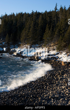 Au fil des lavages de surf en pavés dans le Maine's Cove Monument Parc National d'Acadia. Banque D'Images