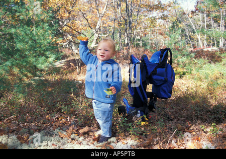 Kennebunkport, moi un petit garçon prend une pause d'une famille de la randonnée dans la forêt sur le Steele ferme. De l'automne. (MR) Banque D'Images