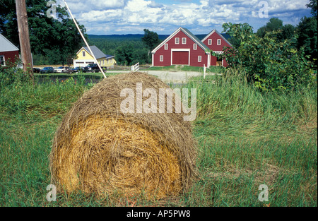 New Gloucester, moi une balle de foin dans un champ près de la grange au lac Lycée Saint-Louis Village Shaker. Banque D'Images