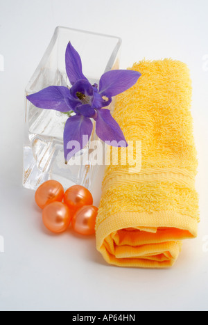 Accessoires de bain et produits de beauté sur fond blanc Banque D'Images