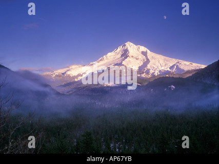 Un matin brumeux dans la forêt entourant Mt Hood, dans la Forêt Nationale de Mt Hood, Oregon Cascades. Banque D'Images