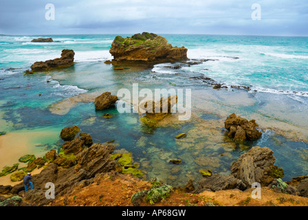 Littoral fascinant à The Crags près de Port Fairy Banque D'Images