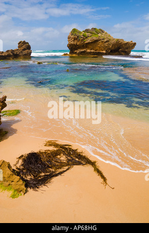 Littoral fascinant à The Crags près de Port Fairy Banque D'Images
