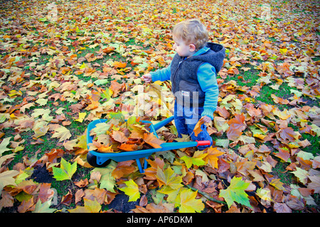 Remplissage d'un petit garçon avec des feuilles de Barrow Banque D'Images