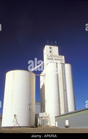 NA, USA, WA, Washington, Palouse Whitman Comté, La Crosse. L'élévateur à grain principal. Banque D'Images