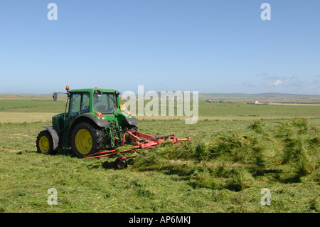 Tourner le tracteur de l'herbe pour faire du foin dans le champ dans la partie continentale de l'île d'Orkney Ecosse Banque D'Images