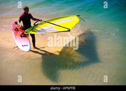 Planche avec une planche à voile sur la plage au bord de l'eau Banque D'Images