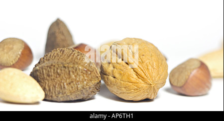 Mélange de noix y compris les noix du Brésil noix amandes et noisettes sur un fond blanc Banque D'Images