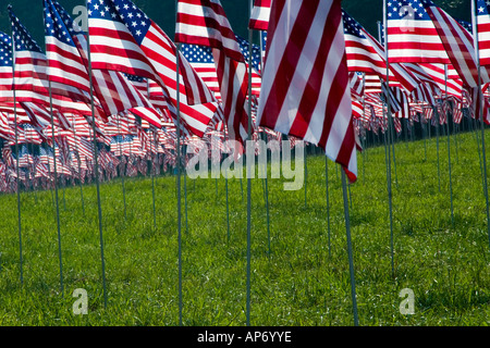 Drapeaux au vent en l'honneur du 911 2001 victimes de l'attaque terroriste contre les États-Unis. Situé à Kennesaw, Géorgie, USA Banque D'Images