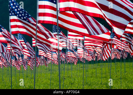 Drapeaux au vent en l'honneur du 911 2001 victimes de l'attaque terroriste contre les États-Unis. Situé à Kennesaw, Géorgie, USA Banque D'Images