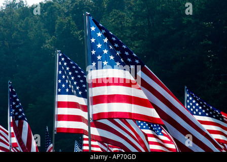Drapeaux au vent en l'honneur du 911 2001 victimes de l'attaque terroriste contre les États-Unis. Situé à Kennesaw, Géorgie, USA Banque D'Images