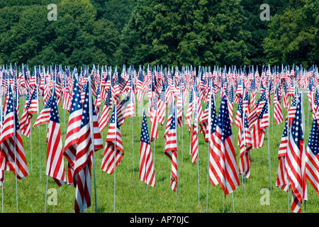Drapeaux au vent en l'honneur du 911 2001 victimes de l'attaque terroriste contre les États-Unis. Situé à Kennesaw, Géorgie, USA Banque D'Images