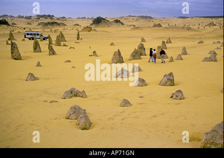 Un groupe de visiteurs dans le Désert des Pinnacles qui est contenu dans le Parc National de Nambung, près de la ville de Cervantes Banque D'Images