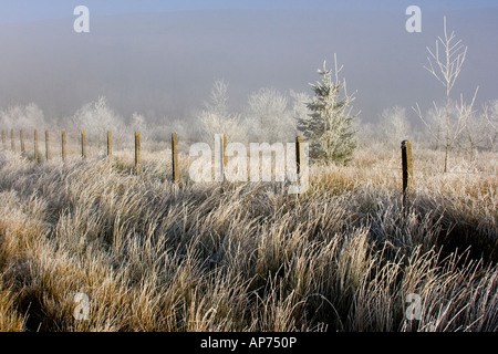 Brecon Beacons Armes Histoire de gel Banque D'Images