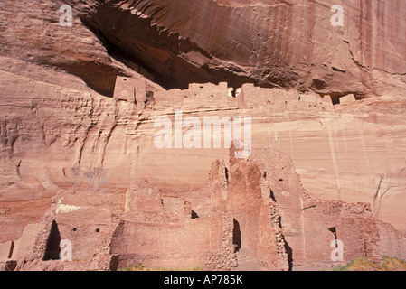 La ruine de la Maison blanche dans le Canyon de Chelly Canyon de Chelly National Monument Arizona Banque D'Images