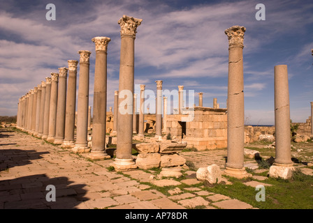 Le marché Leptis Magna Libye Banque D'Images