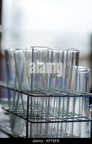Tubes à essai en laboratoire de biotechnologie en rack ou à l'école classe de sciences Banque D'Images