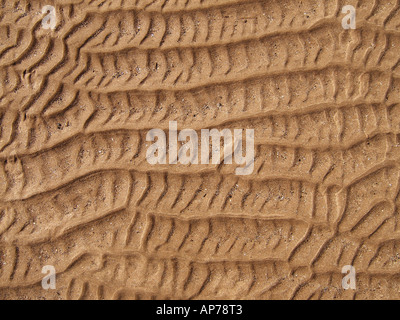 Motifs de crête sur la plage de Fraisthorpe faite par les courants de marée de la mer. ROYAUME-UNI. Banque D'Images