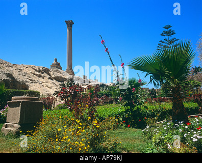 Pilier Pompeys Alexandrie Egypte Afrique du Nord Banque D'Images