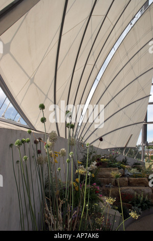 Les plantes de la nouvelle Alpine House à Kew Gardens à Surrey, Londres Banque D'Images