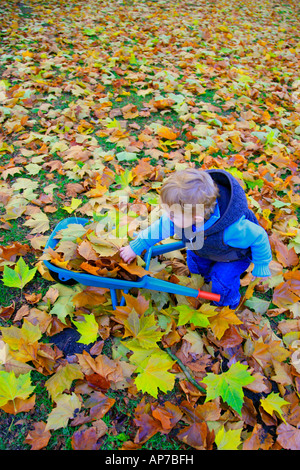 Remplissage d'un petit garçon avec des feuilles de Barrow Banque D'Images