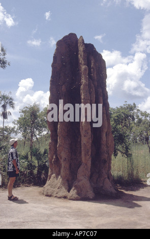 Cathédrale gigantesque termitière dans le Litchfield National Park, Territoire du Nord, Australie Banque D'Images