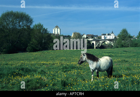 Cheval et voir de La Roche Posay, Vienne, France. Banque D'Images