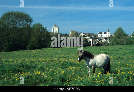 Cheval et voir de La Roche Posay, Vienne, France. Banque D'Images