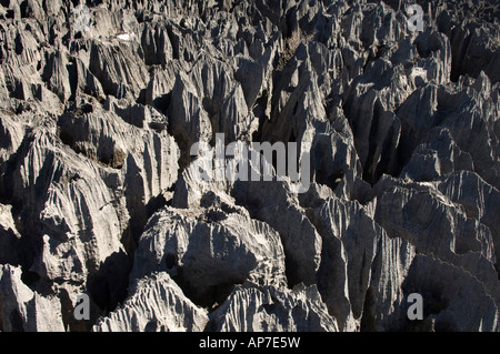 Le massif de l'Ankarana, les Tsingy de l'Ankarana, réserve spéciale, Madagascar Banque D'Images