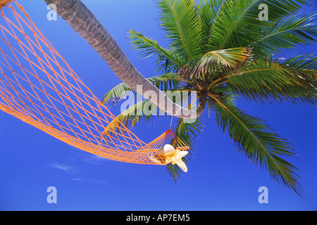 Palm Tree with hat reposant sur l'hamac sous un ciel bleu en tant que symboles de vacances reposantes Banque D'Images