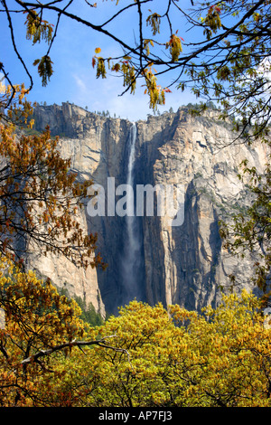 Ribbon falls, Yosemite National Park Banque D'Images