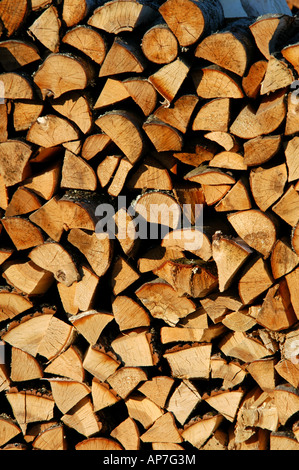 Pile de bois en Russie. Banque D'Images