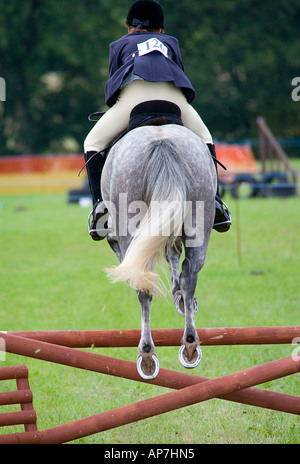 Jeune fille SUR LE CHEVAL DE L'ARRIÈRE EN L'AIR SAUT CLÔTURE À UN SPECTACLE ÉQUESTRE UK Banque D'Images