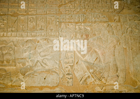 Mur bas relief, inscriptions du temple de Louxor, Thèbes, Haute Egypte, Moyen-Orient. DSC 45787 Banque D'Images