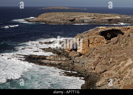 Cape du Couedic, parc national de Flinders Chase, Kangaroo Island, Australie du Sud, Australie Banque D'Images