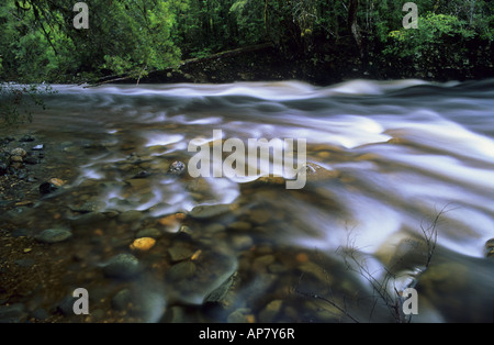 Rivière Franklin Franklin Gordon Wild Rivers Park Tasmanie Banque D'Images