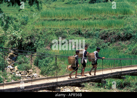 Les garçons Hmong noir marchant sur une passerelle rural au milieu des rizières de Sapa Vietnam N nr Banque D'Images