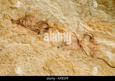 L'art rupestre, Karkhur Talh, Uweinat, Egypte Banque D'Images