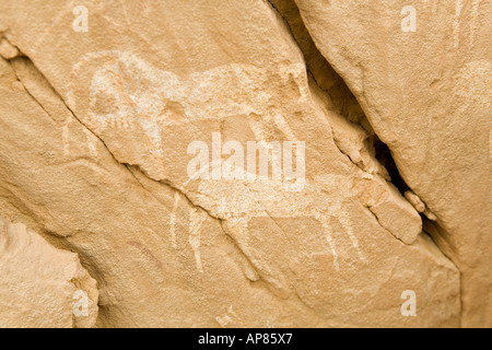 L'art rupestre, Karkhur Talh, Uweinat, Egypte Banque D'Images