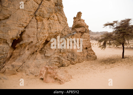 L'art rupestre, Karkhur Talh, Uweinat, Egypte Banque D'Images