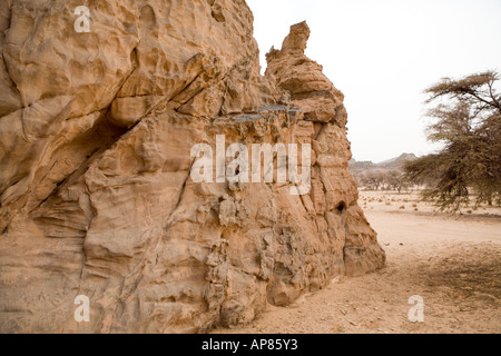 L'art rupestre, Karkhur Talh, Uweinat, Egypte Banque D'Images