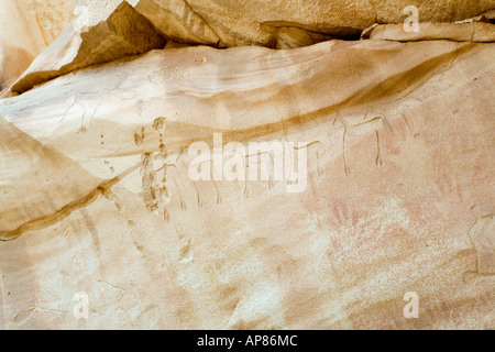 Les animaux dans l'art rupestre, Grotte Mestekawi, Gilf Kebir, désert occidental. Banque D'Images