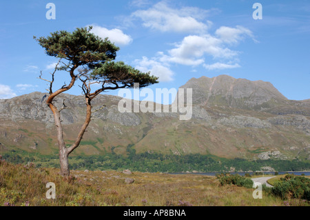 Montagne Slioch Kinlochewe Wester Ross. Highlands écossais. XPL 3518-342 Banque D'Images