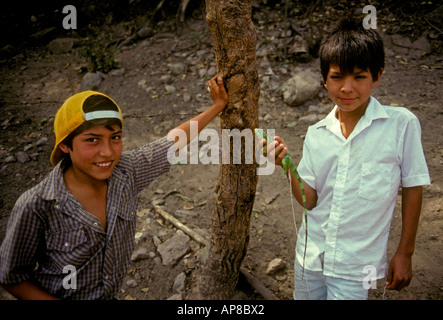 2, deux mexicains, mexicains, les garçons, les jeunes garçons, les garçons, le contact oculaire, vue de face, portrait, boy holding green iguana, Puerto Vallarta, Jalisco, Mexique de l'État Banque D'Images