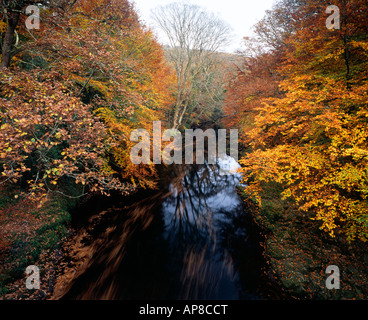 Vu de la rivière Dart Holne pont dans le parc national du Dartmoor, Ashburton. Devon Banque D'Images